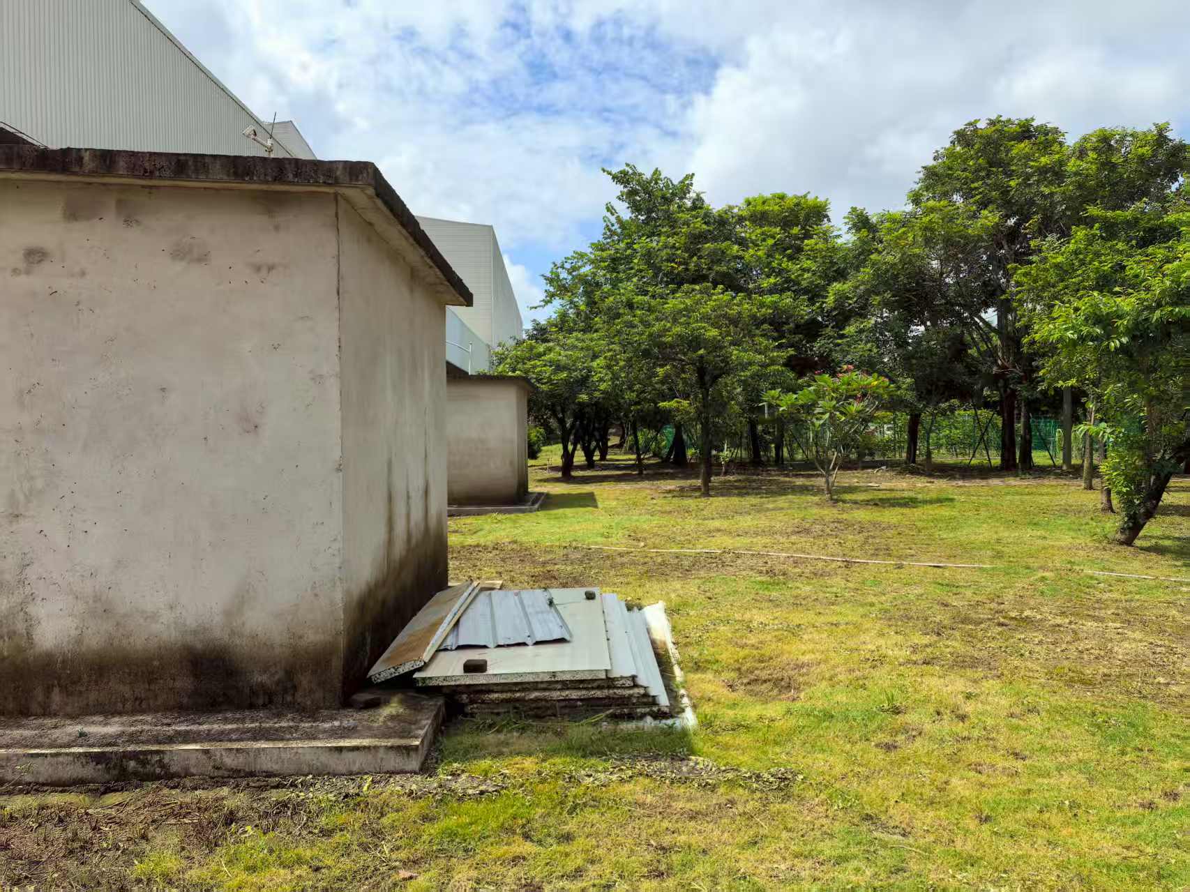 綠化帶雜物整改前.jpg 綠化帶雜物整改前.jpg